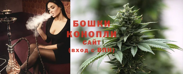 дживик Няндома