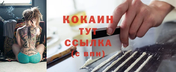 дживик Няндома
