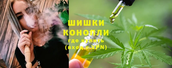стаф Осташков