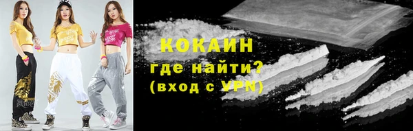 дживик Няндома