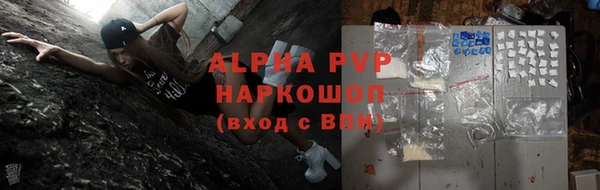 дживик Няндома