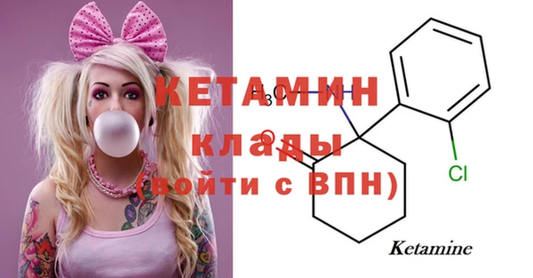 дживик Няндома