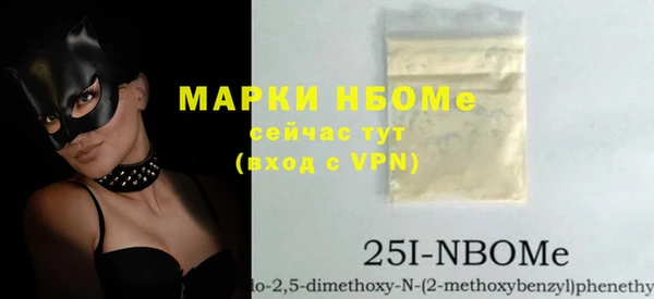 дживик Няндома