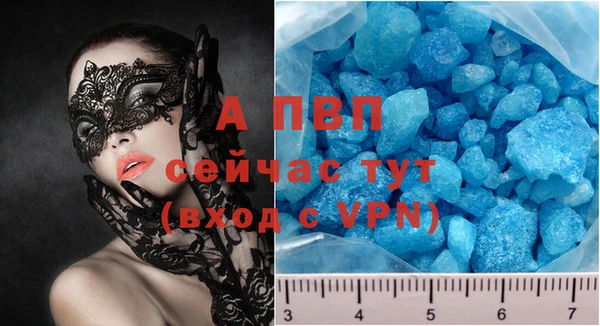 стаф Осташков