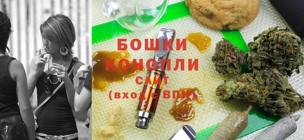 дживик Няндома