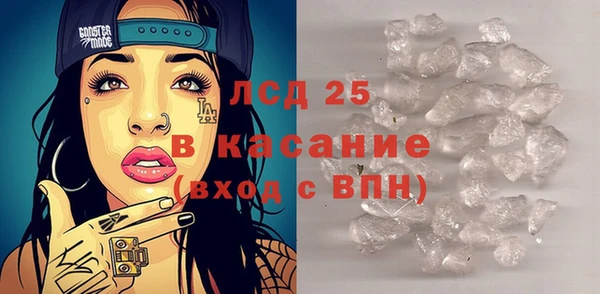 дживик Няндома