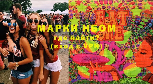 дживик Няндома