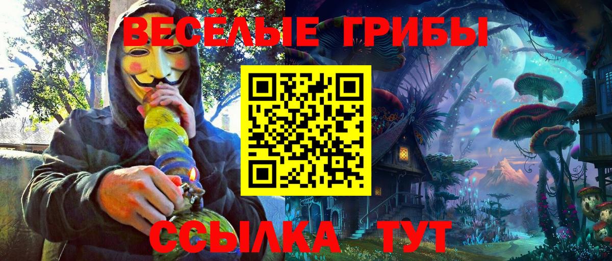Галлюциногенные грибы Psilocybine cubensis  Вход с VPN  Псилоцибиновые грибы прущие грибы  даркнет сайт  Зима 