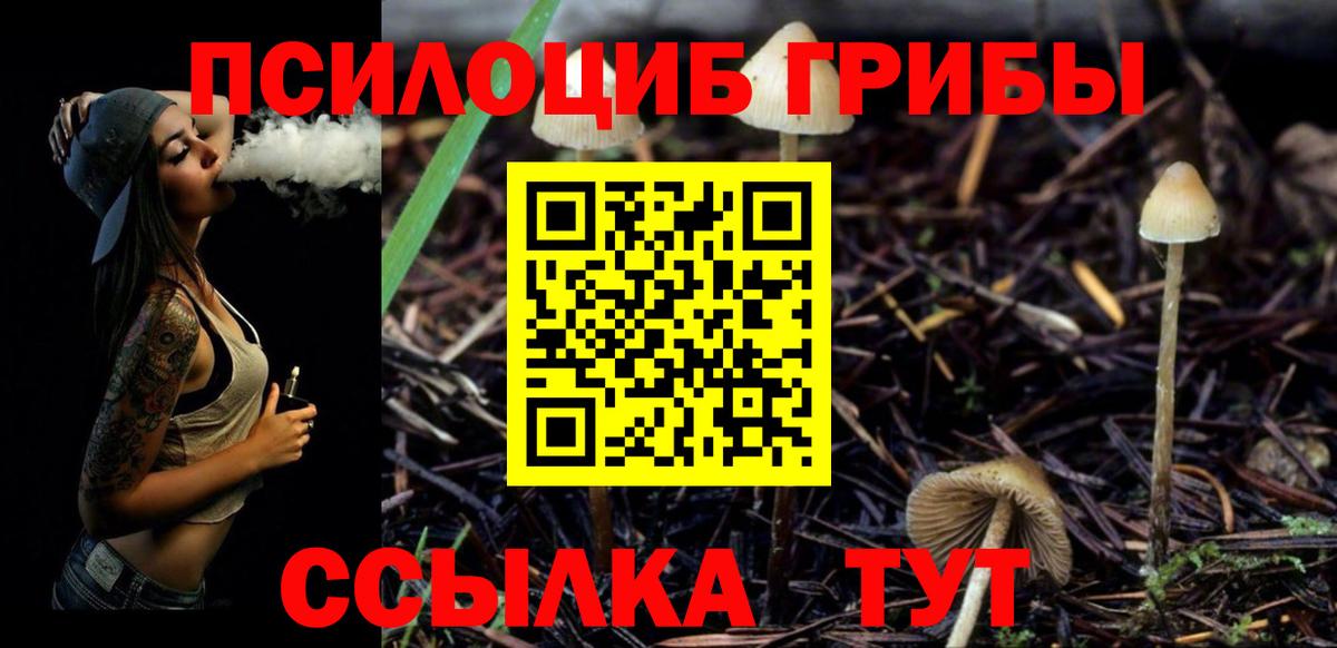 Псилоцибиновые грибы Cubensis Зима