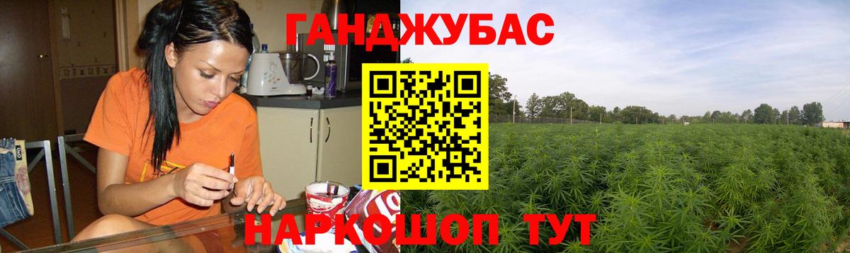 Бошки Шишки семена Зима